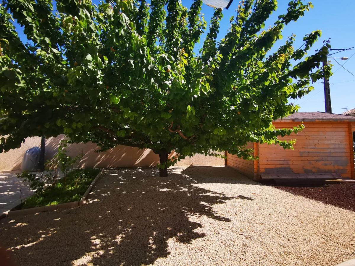 Avec Grande Piscine Et Sa Terrasse Privative *